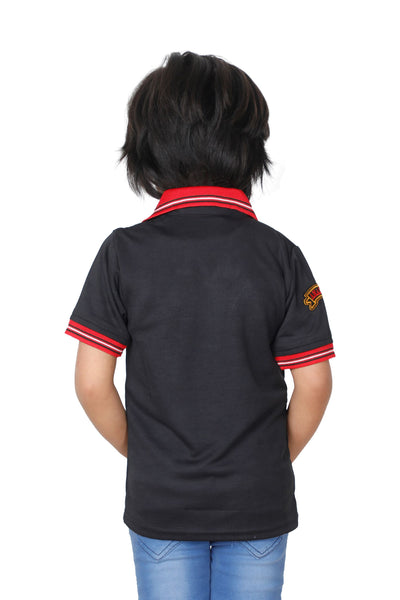 Boys Tshirt (ts001-375)